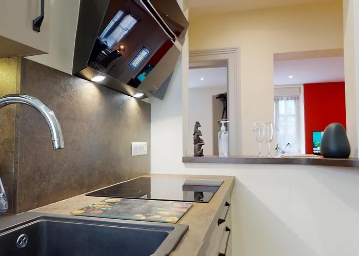 公寓 Le Muguet 3 - 1 Garage Gratuit 科尔马